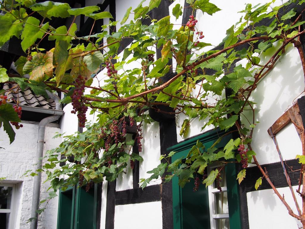 Falderhof Köln Eksteriør billede